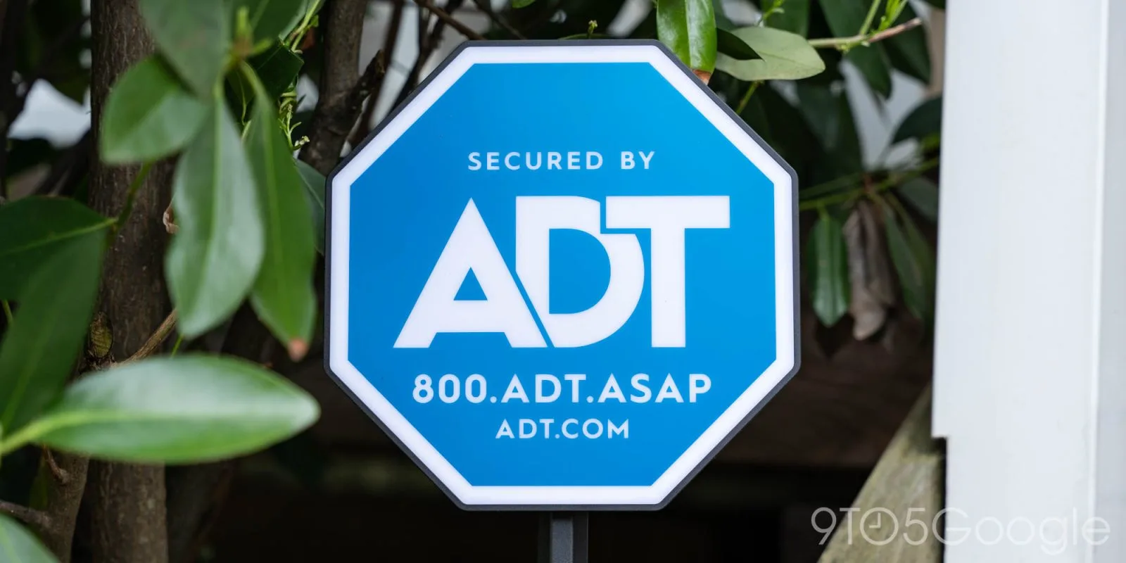 ADT’nin “Live Light” Hamlesi: Nest Güvenliğinde Yeni Dönem