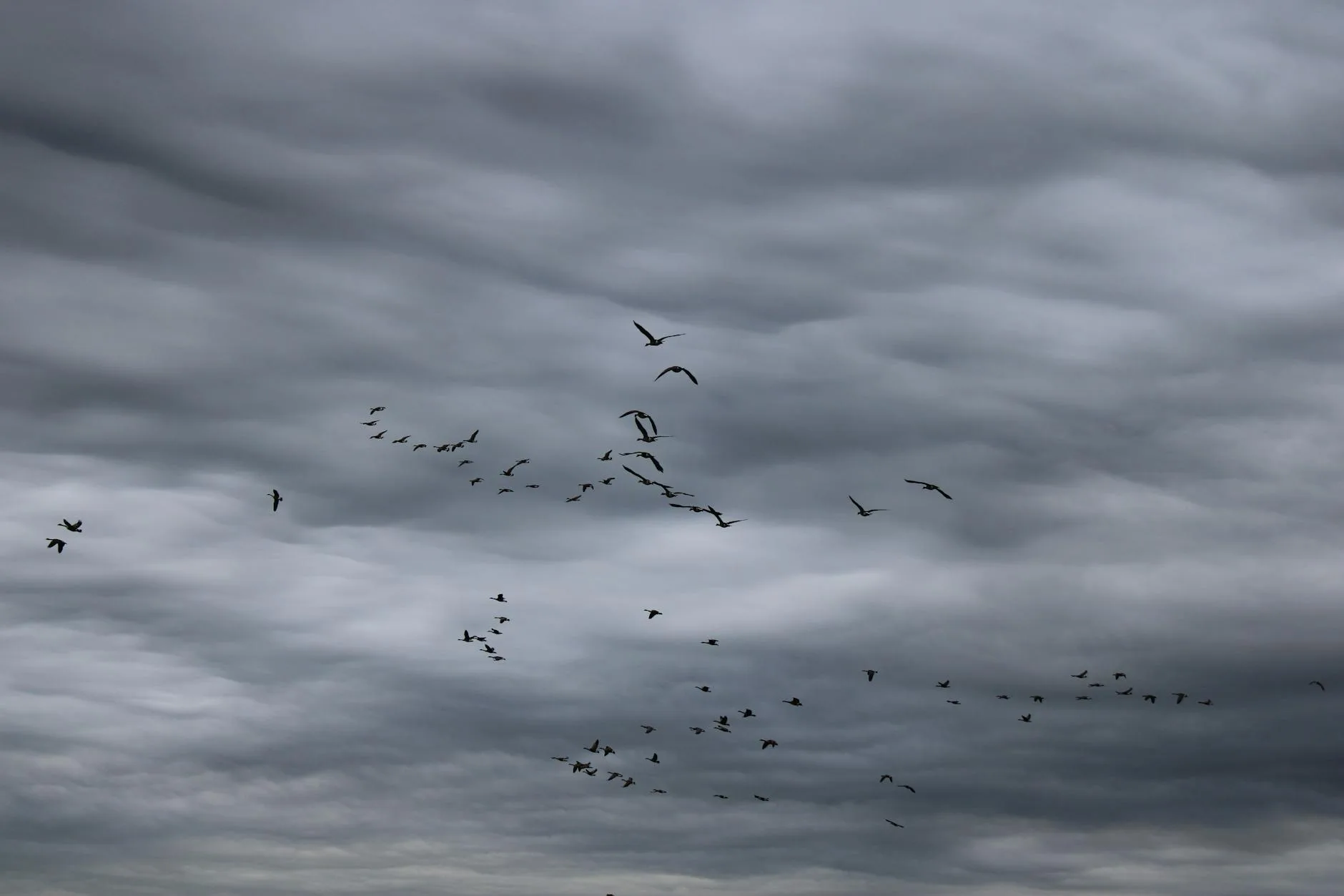 Amazon’un 200 Milyar Dolarlık Hamlesi: Jassy’nin Sakin Ama Sert Cevabı