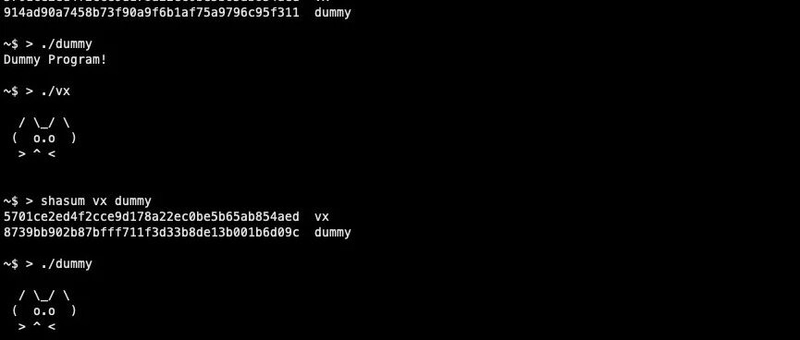 İmza Kaçınca Ne Olur?: Kendini Değiştiren Zararlı Yazılım