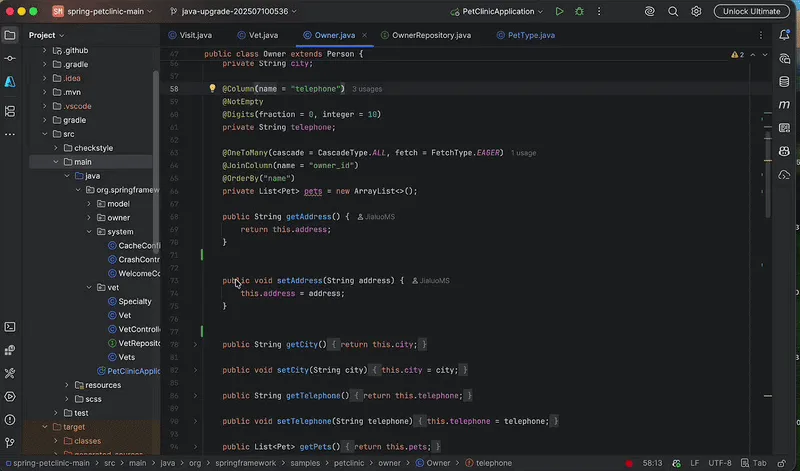 JetBrains Copilot: Inline Agent Mode ve Yeni Oyuncaklar