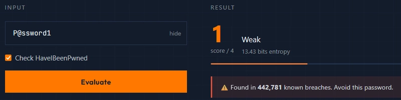 Şifre Alanı Güvenli Sanılıyor: Aslında Açık Kapı Olabilir